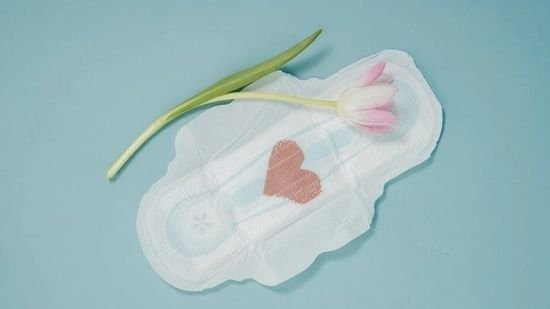 Best Sanitary Napkin manufacturer in Ajmer